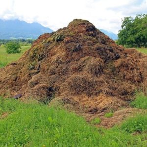 Pflanzliche Abfälle